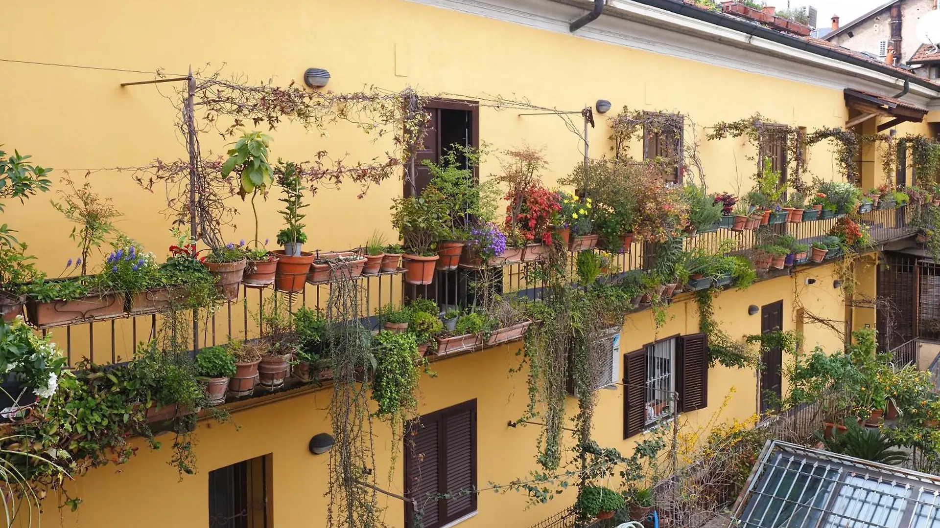 Charming Studio In The Heart Of China Town Milan Apartment